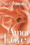 livro amor